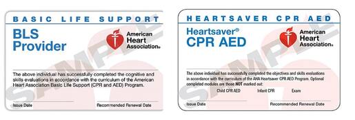 Checking Your CPR Card